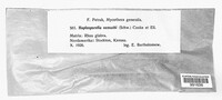 Image Associated With the Occurence